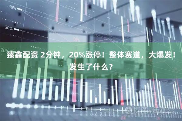 臻鑫配资 2分钟，20%涨停！整体赛道，大爆发！发生了什么？